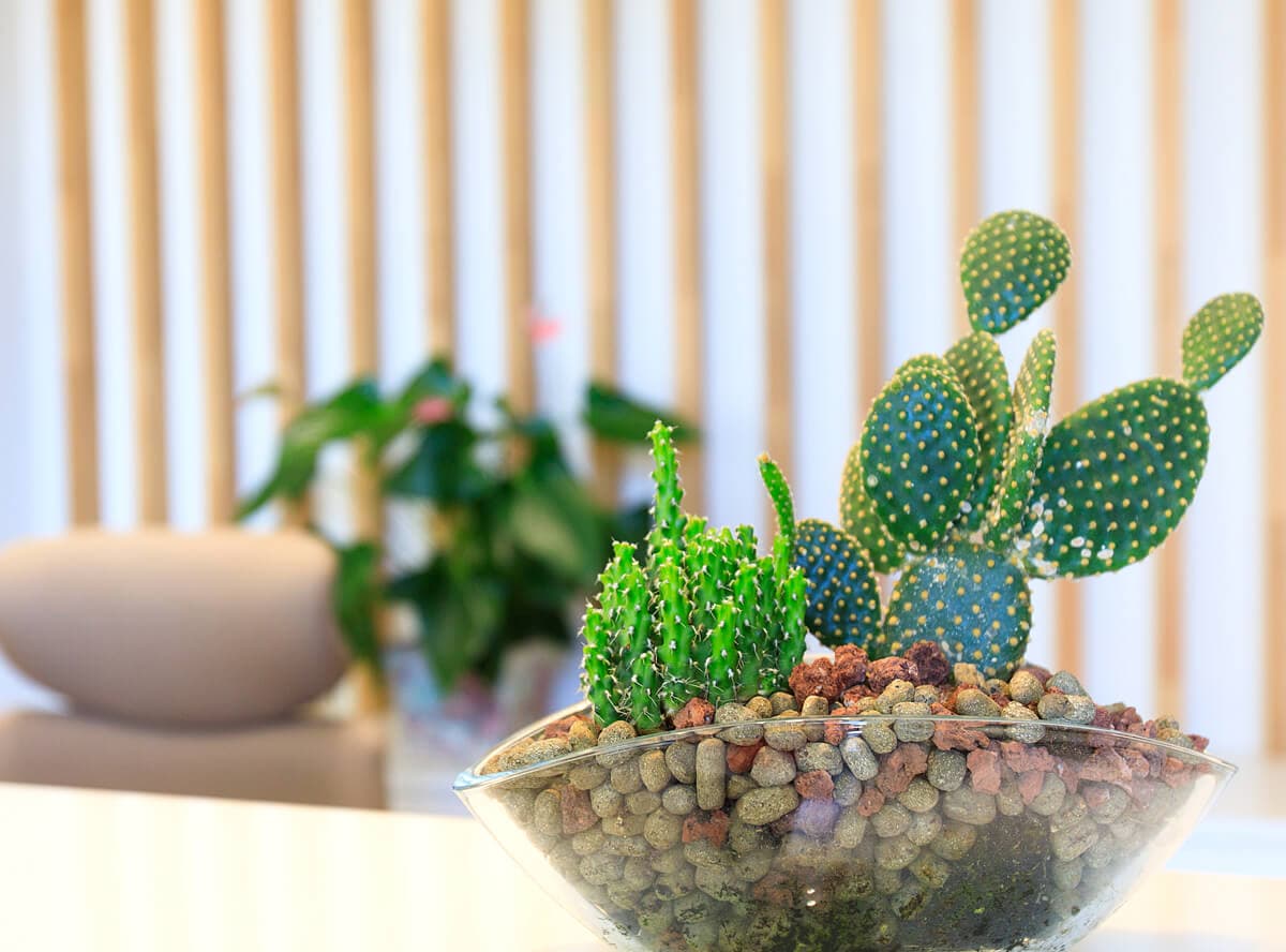 Clínica Dental Dr. Samuel Rodríguez Zorrilla en Vigo